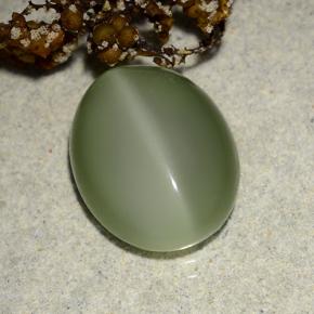 Actinolite œil de chat Vert terreux naturelle Coupe ovale, 6.10 ct, Translucide
