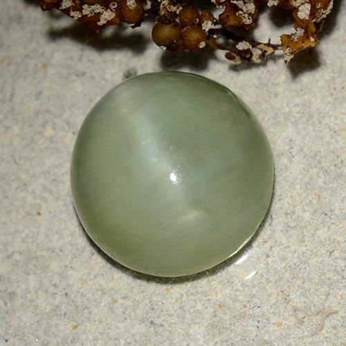6.42ct Naturel Vert chaud Actinolite œil de chat, ovale, Translucide