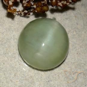 Actinolite œil de chat Vert chaud naturelle ovale, 6.42 ct, Translucide