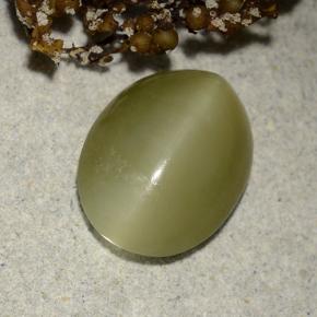 Actinolite œil de chat Vert naturelle Coupe ovale, 4.55 ct, Translucide