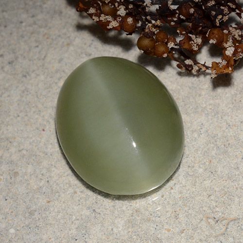 6.21ct Naturel Vert grisâtre Actinolite œil de chat, ovale, Translucide