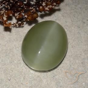 Actinolite œil de chat Vert grisâtre naturelle ovale, 6.21 ct, Translucide