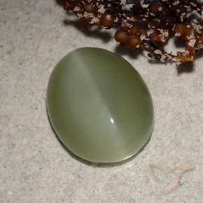 Actinolite œil de chat Vert grisâtre naturelle ovale, 6.21 ct, Translucide