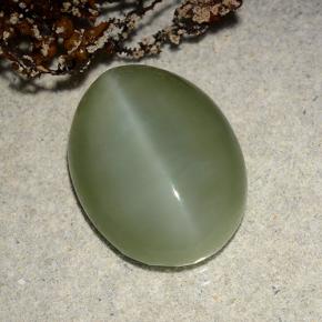 Actinolite cat's eye vert naturelle coupe ovale, 8,86 ct, translucide