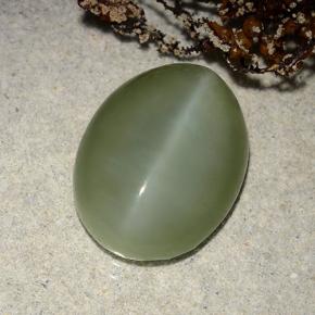 Actinolite cat's eye vert naturelle coupe ovale, 8,86 ct, translucide