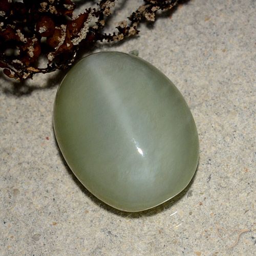 5.43ct Naturel Vert brunâtre Actinolite œil de chat, ovale, Translucide