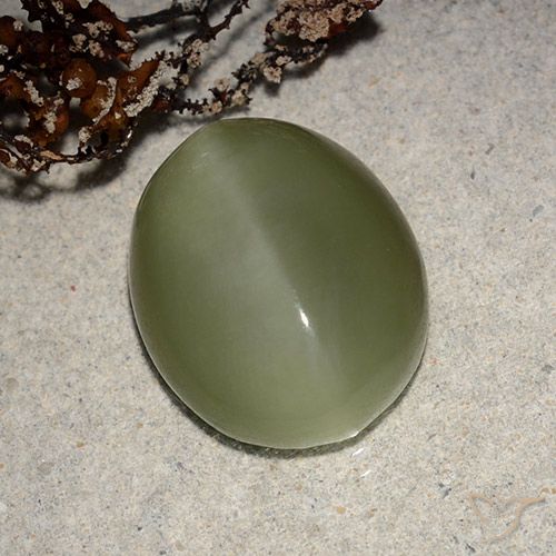8.10ct Naturel Vert brunâtre Actinolite œil de chat, ovale, Translucide