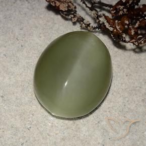 Actinolite œil de chat Vert brunâtre naturelle ovale, 8.10 ct, Translucide