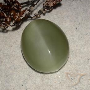 Actinolite œil de chat Vert brunâtre naturelle ovale, 8.10 ct, Translucide