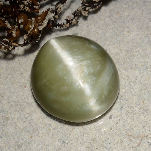 5.32ct Naturel Vert jaunâtre Actinolite œil de chat, ovale, Translucide