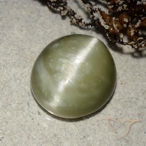 Actinolite œil de chat Vert jaunâtre naturelle ovale, 5.32 ct, Translucide