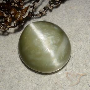 Actinolite œil de chat Vert jaunâtre naturelle ovale, 5.32 ct, Translucide