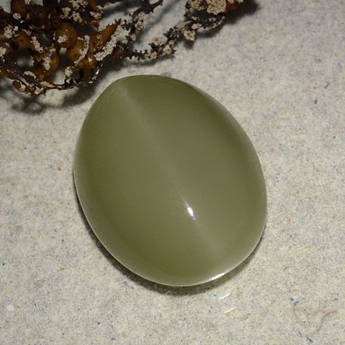 8.14ct Naturel Vert jaunâtre Actinolite œil de chat, ovale, Translucide