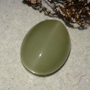 Actinolite œil de chat Vert jaunâtre naturelle ovale, 8.14 ct, Translucide