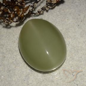 Actinolite œil de chat Vert jaunâtre naturelle ovale, 8.14 ct, Translucide