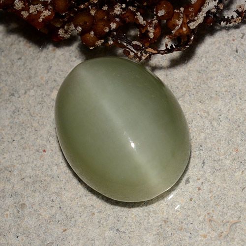 5.66ct Naturel Vert terreux Actinolite œil de chat, ovale, Translucide