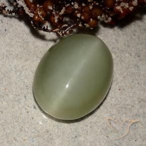 Actinolite œil de chat Vert terreux naturelle ovale, 5.66 ct, Translucide