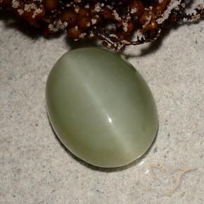 Actinolite œil de chat Vert terreux naturelle ovale, 5.66 ct, Translucide