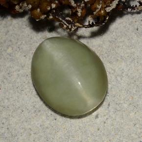 Actinolite cat's eye vert naturelle coupe ovale, 2,40 ct, translucide