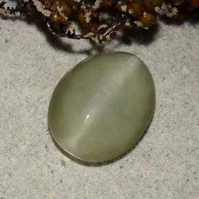 Actinolite cat's eye vert naturelle coupe ovale, 2,40 ct, translucide