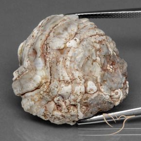 Géode d'agate Multicolore naturelle Fantaisie, 41.53 ct, Opaque
