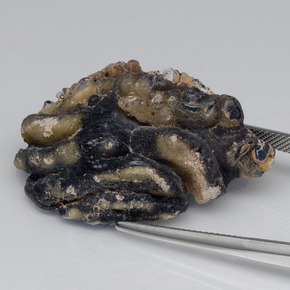 Géode d'agate Multicolore naturelle Forme fantaisie, 61.00 ct, Opaque