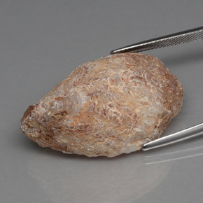 Géode d'agate Multicolore naturelle Forme fantaisie, 39.70 ct, Opaque