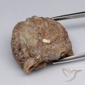 Géode d'agate Multicolore naturelle Fantaisie, 40.83 ct, Opaque