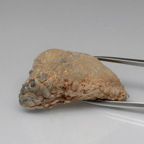 Géode d'agate multicolore naturelle forme fantaisie, 55,91 ct, opaque