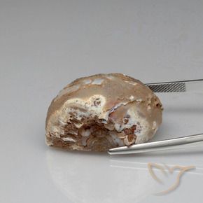 Géode d'agate Multicolore naturelle Fantaisie, 57.88 ct, Opaque