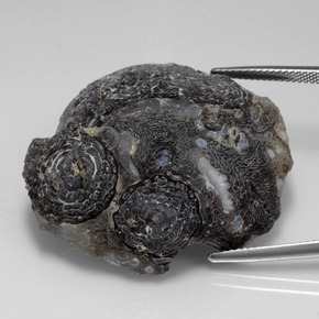 Géode d'agate multicolore naturelle forme fantaisie, 65,22 ct, opaque