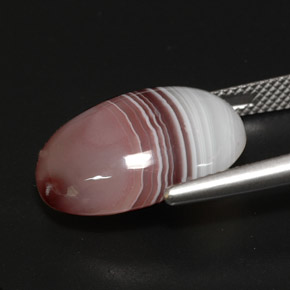 Agate multicolore naturelle coupe ovale, 13,03 ct, opaque