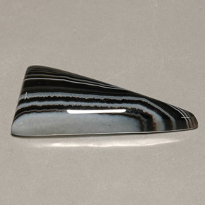 Agate multicolore naturelle trillion, 16,75 ct, opaque