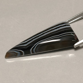 Agate multicolore naturelle trillion, 16,75 ct, opaque