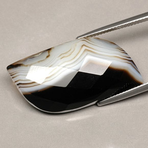 Agate Multicolore naturelle Forme fantaisie, 27.84 ct, Opaque