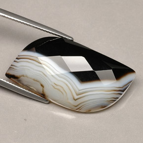 Agate Multicolore naturelle Forme fantaisie, 27.84 ct, Opaque