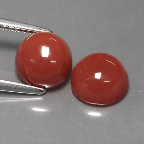 Achetez naturel ct Orange Agate gems, Coupe roude, En provenance Inde chez GemSelect. En stock, livraison internationale!