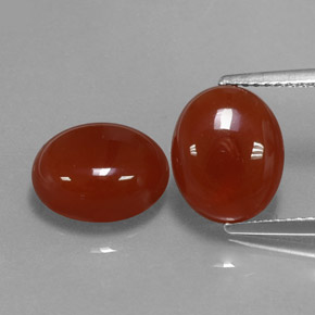 Achetez naturel ct marron agate gems, transparent, en provenance inde chez gemselect. en stock, livraison internationale!