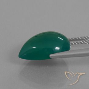 Agate Vert foncé moyen naturelle En forme de poire, 6.66 ct, Translucide