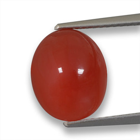 Agate orange naturelle coupe ovale, 4,64 ct, translucide