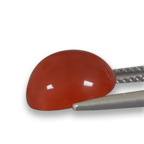 Agate orange naturelle coupe ovale, 4,64 ct, translucide
