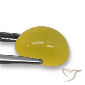 Agate Jaune miel naturelle ovale, 3.84 ct, Translucide