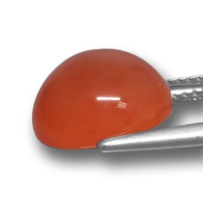 Agate rouge naturelle coupe ovale, 5,61 ct, translucide