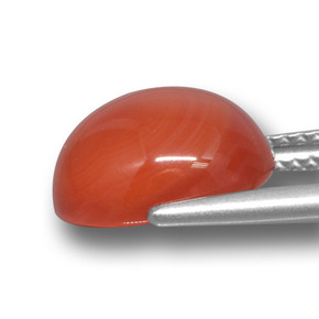Agate orange naturelle coupe ovale, 5,38 ct, translucide