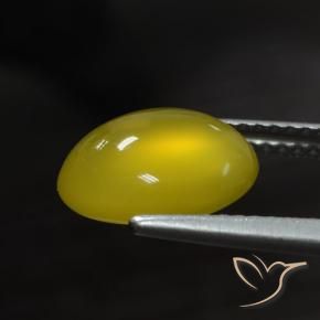 Agate Jaune foncé naturelle ovale, 2.95 ct, Translucide