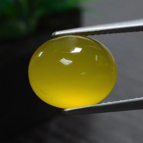 Agate jaune naturelle coupe ovale, 5,51 ct, translucide