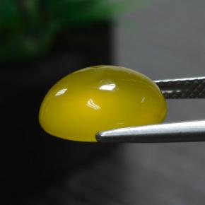 Agate jaune naturelle coupe ovale, 5,51 ct, translucide