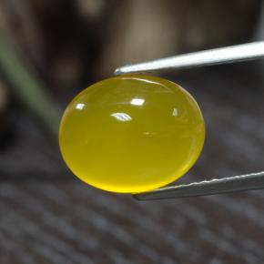 Agate Jaune miel léger naturelle Coupe ovale, 3.84 ct, Translucide