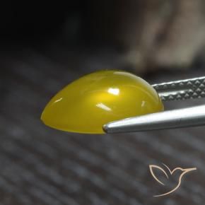 Agate Doré jaunâtre naturelle En forme de poire, 4.80 ct, Translucide