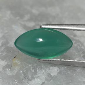 Agate Vert moyen naturelle Marquise, 1.52 ct, Translucide